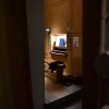 DSC 1503.JPG