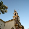 DSC 8077.JPG