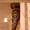 DSC 8093.JPG