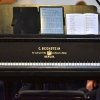 DSC 7114.JPG