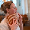 DSC 8174.JPG