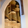 DSC 8219.JPG