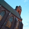DSC 8220.JPG